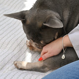 Paw print bracelet - snake chain